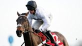 Constitution Hill: Nicky Henderson is targeting the Fighting Fifth Hurdle at Newcastle