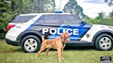 Jacksonville Police Department K9 Atlas to receive donation of body armor