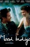 Mood Indigo (film)