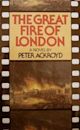 The Great Fire of London (novel)