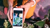 Instagrammable Plants To Give Your Indoor Garden A Glow Up