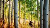 Get Energized With These 5 Mountain Biking Destinations