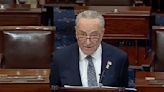 Opinion | Sen. Schumer Has Long Played Politics With Israel