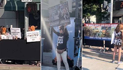 PETA protests Twisters L.A. premiere over rodeo scene