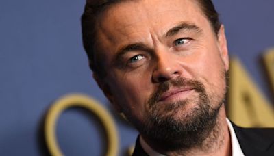 Leonardo DiCaprio Stung by Jellyfish While Yachting in Italy