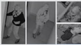 Detectives seeking help identifying burglar who hit Calabasas dentist office