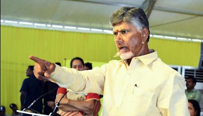 Naidu defers white paper on law and order after YSRCP activist’s brutal murder