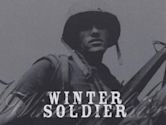 Winter Soldier (film)