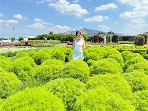 中社花市種滿波波草滿鮮綠 遊客喊「眼睛消暑」 - 臺中市