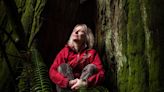 Forest ecologist Suzanne Simard's research says trees talk to each other. Others aren't so sure