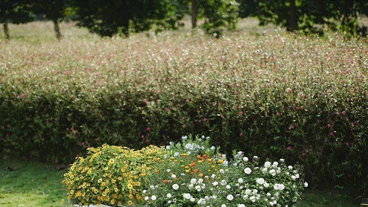 This Durable Raised Garden Bed is 65% Off During Walmart's Massive 4th of July Sale