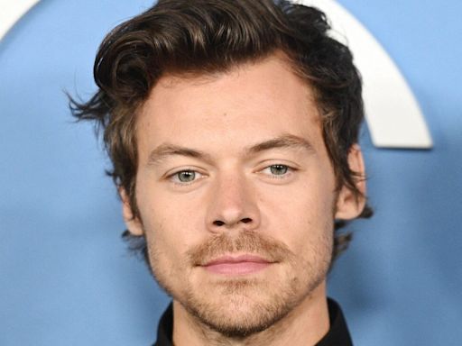 Harry Styles' 'Manic' Stalker Arrested After Expressing ‘Sexual Urges’