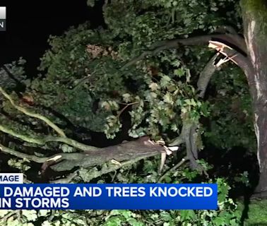 Storms leaves ComEd outages, damaged homes in north suburbs; quiet, muggy Sunday