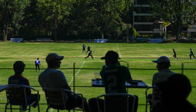 Amantes del cricket buscan hacerse un espacio en México y sueñan con llevar al país a un mundial