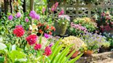 Don't forget to plant 'colourful' flowers in garden before you miss your chance