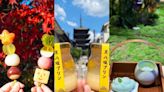 清水寺周邊打卡美食6選！繽紛串和菓子、日本最好吃醬油糰子爆紅 - 玩咖Playing - 自由電子報
