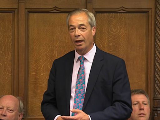 Nigel Farage blasts 'little man' Speaker John Bercow in Commons debut