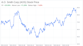 Decoding A.O. Smith Corp (AOS): A Strategic SWOT Insight