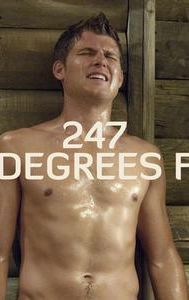 247 Degrees F