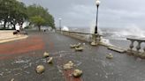 Hurricane Idalia live updates: Jacksonville's Memorial Park suffers storm damage