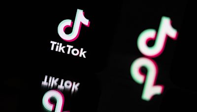 The hysterical 'very mindful, very demure' TikTok videos, explained