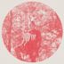 Heartland (Owen Pallett album)