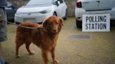 Dogs at polling stations: The best photos from London mayoral election day 2024