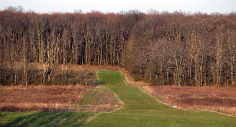 Woman suffers burns from caustic substance in attack at Silver Creek Metro Park in Norton