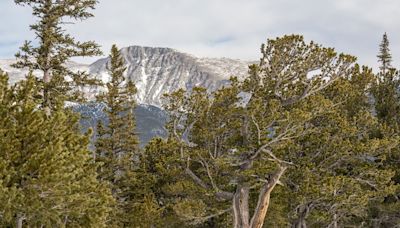 Trail Ridge Road opens for the season