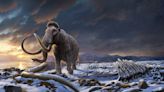 Woolly Mammoth DNA, Frozen 52,000 Years, Ago May Be Used To Revive Species