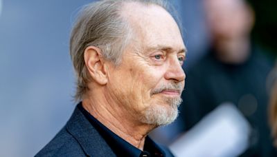 Steve Buscemi Is Punched in Random Manhattan Attack