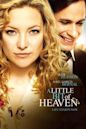 A Little Bit of Heaven (2011 film)