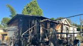 2 lizards, 9 dogs rescued in Hernando County house fire