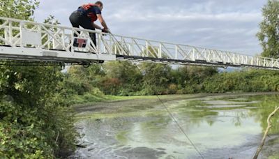 Man who escaped Oregon hospital while shackled and had to be rescued from muddy pond sentenced