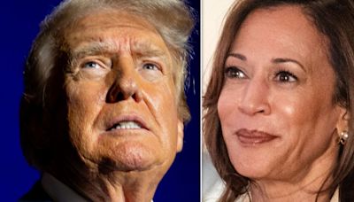 'I Approve This Message': Kamala Harris Instantly Uses Trump's Own Words Against Him