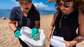 Hawaii Is Cleaning Its Beaches with a Renewable Resource: Tourists