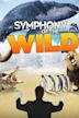 Symphony of the Wild
