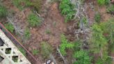 Polícia resgata jovem que sobrevive a queda de 120 metros em cânion nos EUA