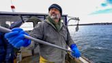 Human intervention changed life in Narragansett Bay. But could it save the quahog?