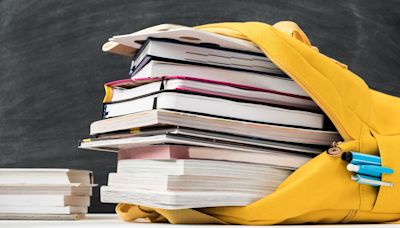 School books too heavy for publisher's sales rep