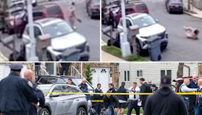 Video shows retired cop shooting machete-wielding man in Staten Island road-rage feud