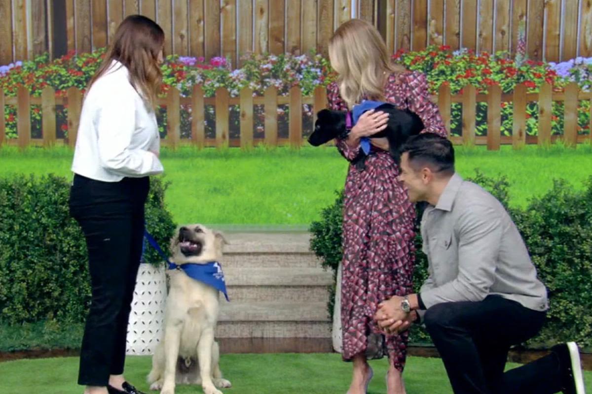 ‘Live’s Kelly Ripa and Mark Consuelos read out adorable “puppy personal ads” on National Dog Rescue Day