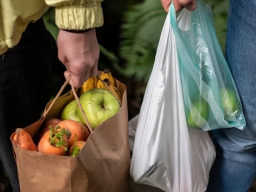 A partir de hoy, domingo 7 de julio, entra en vigor la prohibición de plásticos de un solo uso en Colombia: cuáles son sus alternativas