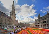 Flower Carpet (Brussels)