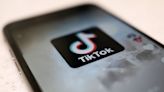 EU election candidates face a TikTok conundrum as bloc cracks down on app