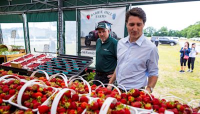 Erstaunliches über Erdbeeren: Superfrucht und Tennis-Accessoire