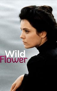 Wild Flower