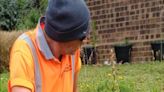 Rare bee orchids discovered unexpectedly on housing estate