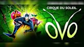 Cirque du Soleil OVO coming to Intrust Bank Arena in February 2025