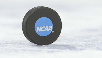 2024 Men's Frozen Four: Bracket, scores, schedule for the college hockey championship